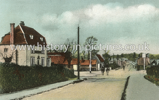 A View of Potter Street, Essex. c.1906